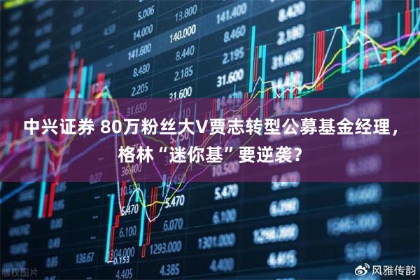 中兴证券 80万粉丝大V贾志转型公募基金经理，格林“迷你基”要逆袭？